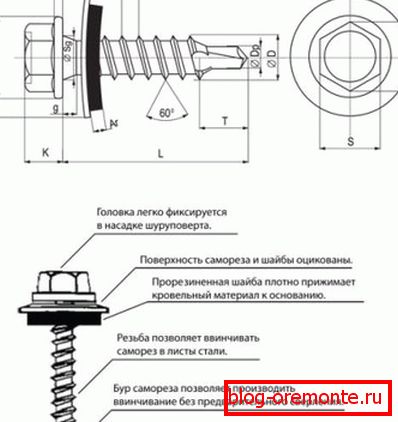 La estructura del tornillo de techo.