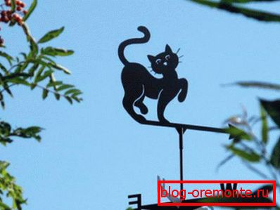 Molino de viento en forma de gato