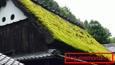 Techos de paja noruegos tradicionales