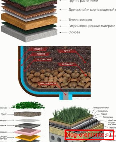Esquema de la tarta de techo de techos vegetales de diferentes tipos.
