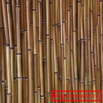 Bambú para cortinas. Bambú para cortinas.