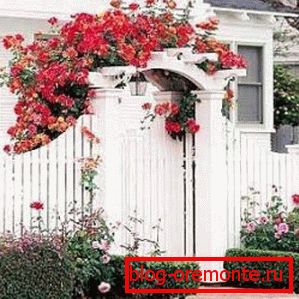 Puerta con arco puertas decorativas