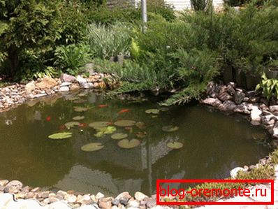 Si el proyecto en el sitio está planeado para crear un estanque o arroyo artificial, lo más sensato es redirigir toda la descarga de agua de lluvia allí Si el proyecto en el sitio está planeado para crear un estanque o arroyo artificial, lo más sensato es redirigir toda la descarga de agua de lluvia allí