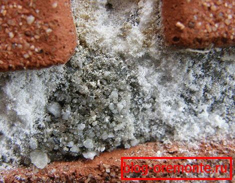 Estos son cristales de sal que destruyen el material de la fachada.