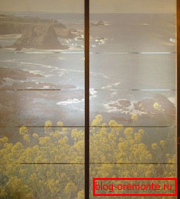 Puerta corredera con impresión fotográfica. cómo instalar puertas correderas