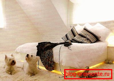 La alfombra no solo calienta la habitación, sino que la decora. La alfombra no solo calienta la habitación, sino que la decora.