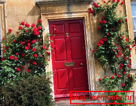 Rosas rojas en la puerta principal.