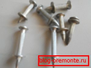Sujetadores
