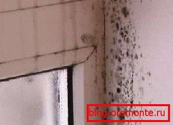 Eliminación incorrecta de la humedad de la habitación. Eliminación incorrecta de la humedad de la habitación.
