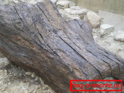 Si lo desea, puede recrear incluso la estructura del árbol (como en la foto), ya que el arte concreto le da total libertad creativa. Si lo desea, puede recrear incluso la estructura del árbol (como en la foto), ya que el arte concreto le da total libertad creativa.