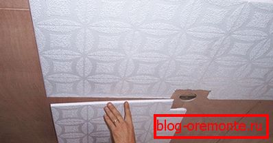 Diseño de araña