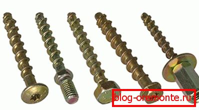 Variedad de tornillos sobre hormigón. Variedad de tornillos sobre hormigón.