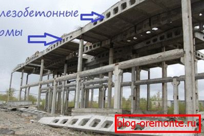 Estructuras esqueléticas