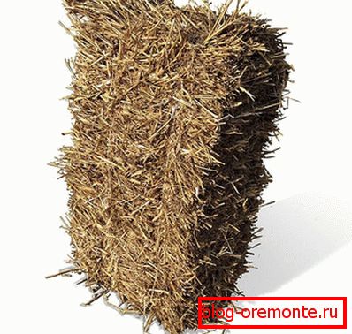 Paja Paja