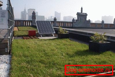 Techo verde utilizado