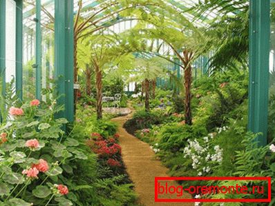 Jardin de invierno con caminos